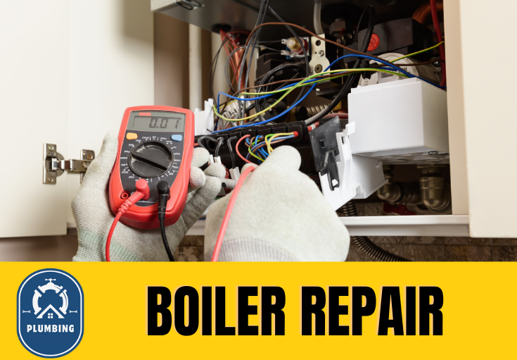 boiler repair Swanley