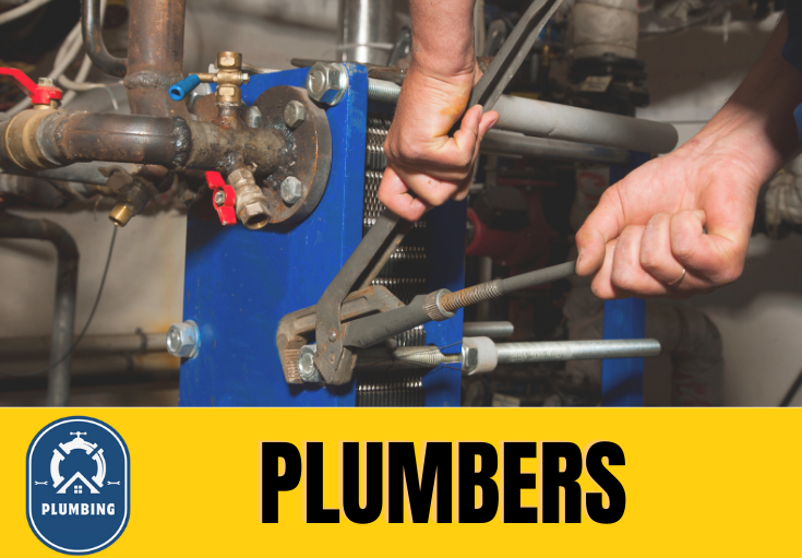  plumber Swanley Village
