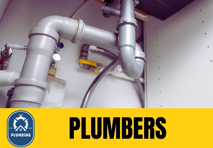  plumber Eynsford